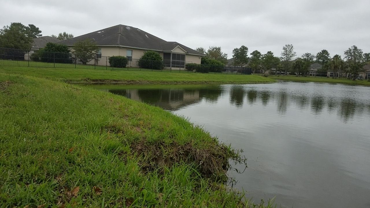 A subdivision pond bank in flat daylight, no animal in the frame