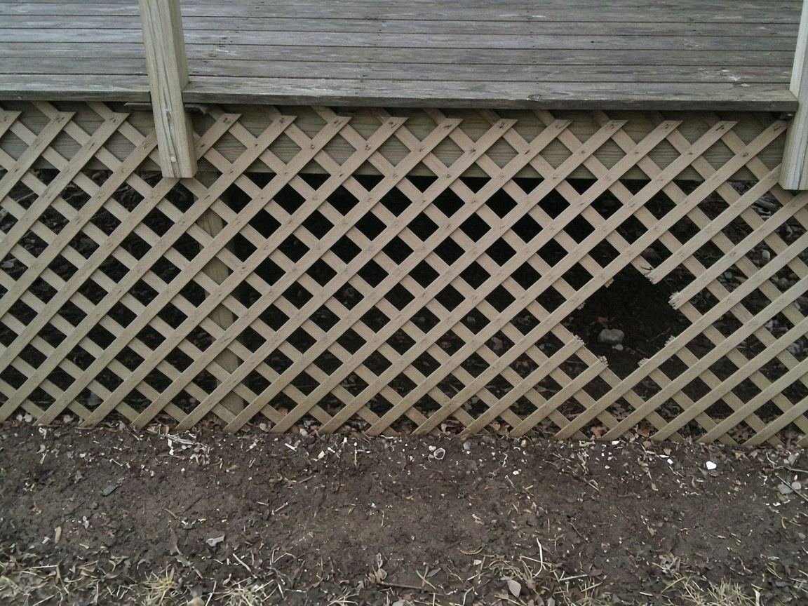 One torn gap in deck lattice, the rest of the lattice still in place