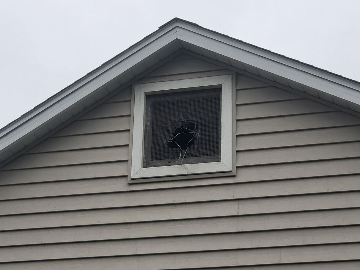 Small ragged hole in a gable vent screen, the rest of the mesh intact