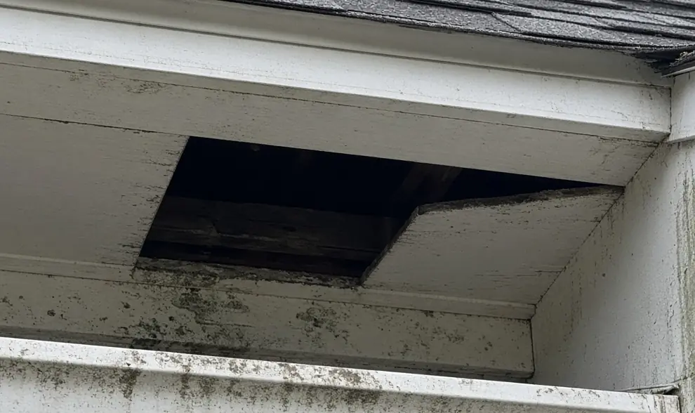 Typical missing soffit panel